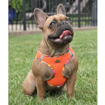 American River Hawaiian Trim Dog Harness - Sunset Orange