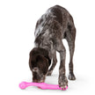 Dog Toy Zwig® for Play, Tug, and Fetch Floating Toy