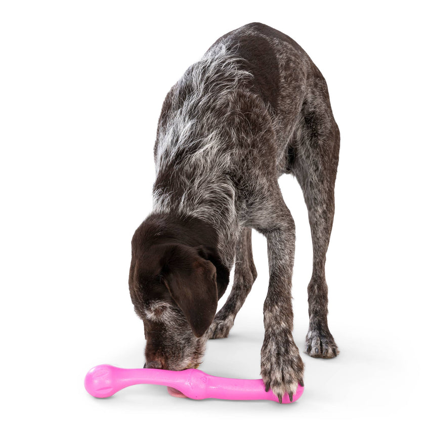 Dog Toy Zwig® for Play, Tug, and Fetch Floating Toy