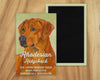 Rhodesian Ridgeback Magnet UD