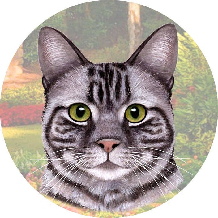 Tabby Silver Car Coaster: Sitting