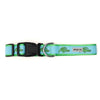 Alligators Dog Collar