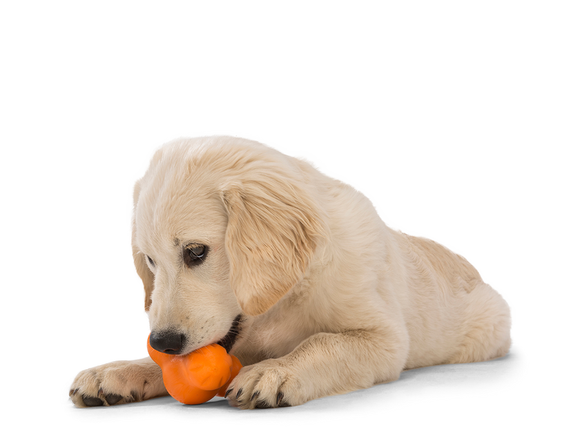 Dog Toy Tux® Puzzle Treat-Dispensing Slow Feeder Floating Toy
