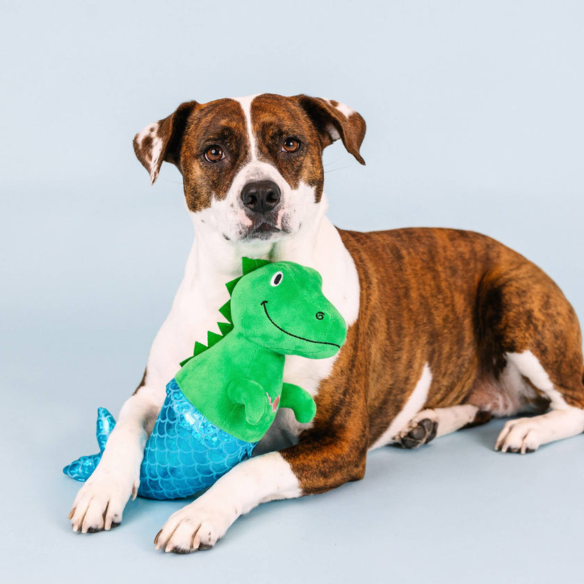 Dog Toy Dinosaur Mermaid Mer-Rex Plush Toy
