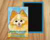 Pomeranian Cream Magnet UD