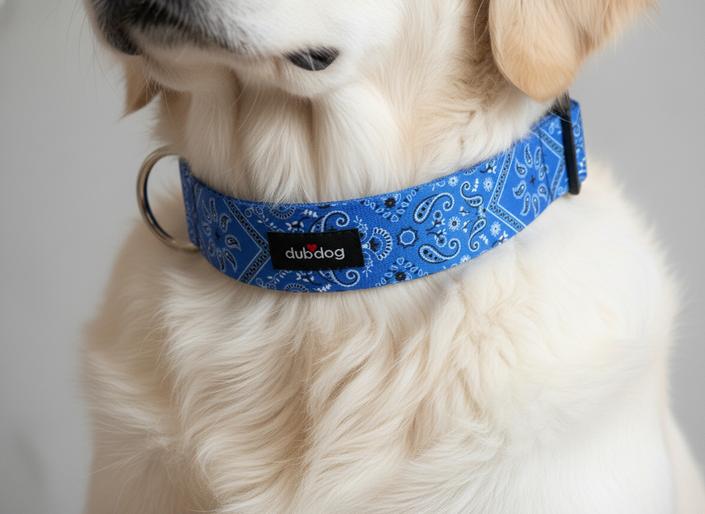 Blue Dana Dog Collar