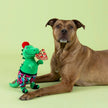 Dog Toy Dinosaur Pizzasaurus Rex plush Toy