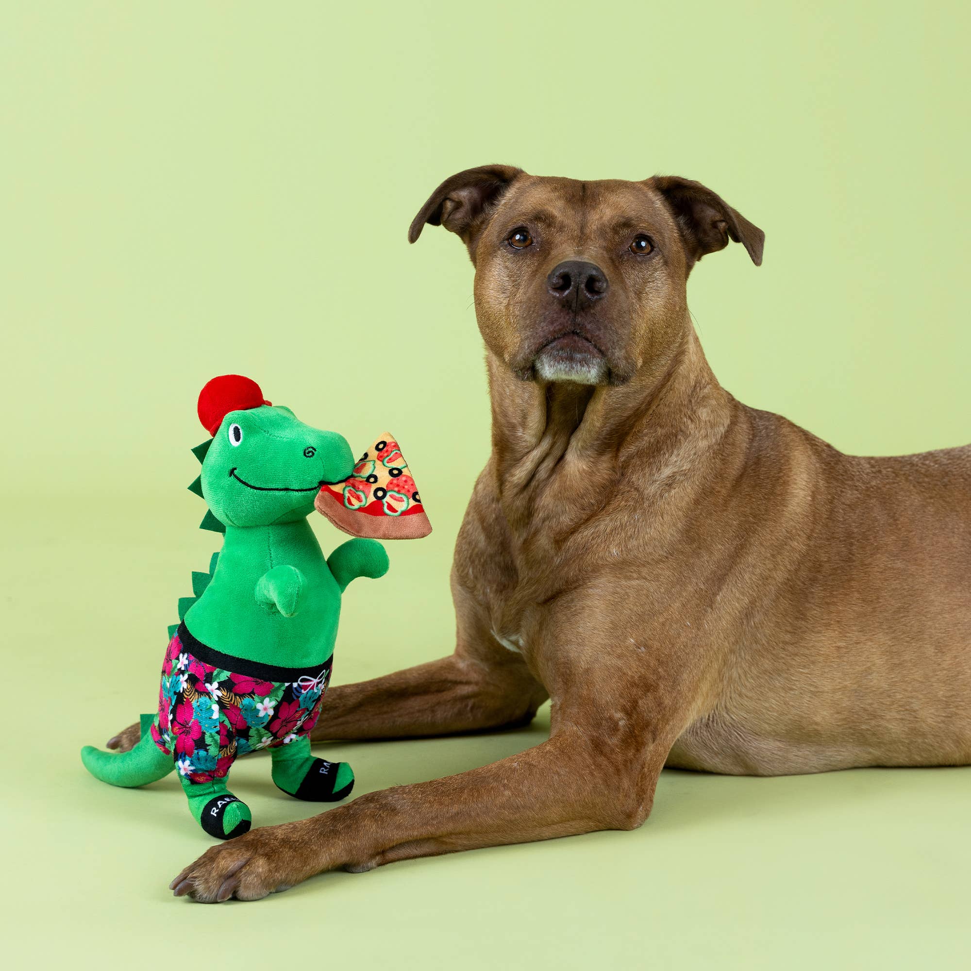 Dog Toy Dinosaur Pizzasaurus Rex plush Toy