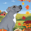 Pit Bull, Grey Garden Flag (Fall)