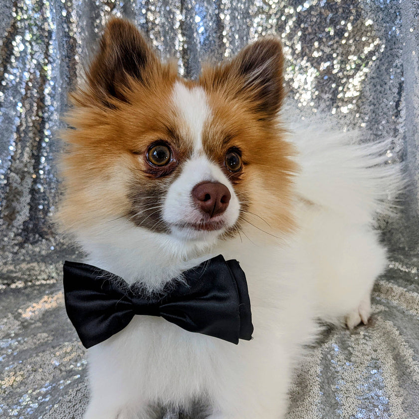H&K Bow Tie Black Satin