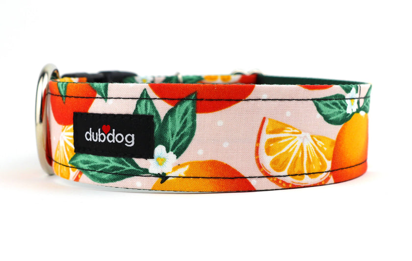 Clementine Dog Collar