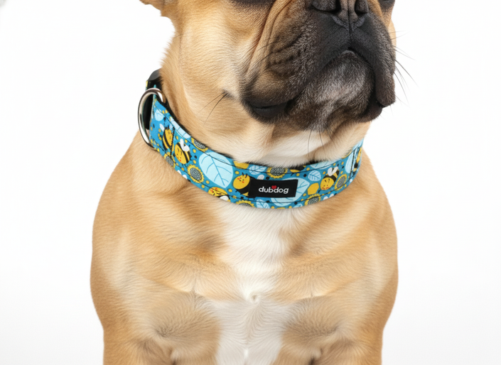Bee Happy Collar