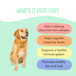 No More Itchin' - Allergy & Immune Supplement - 120 Chews
