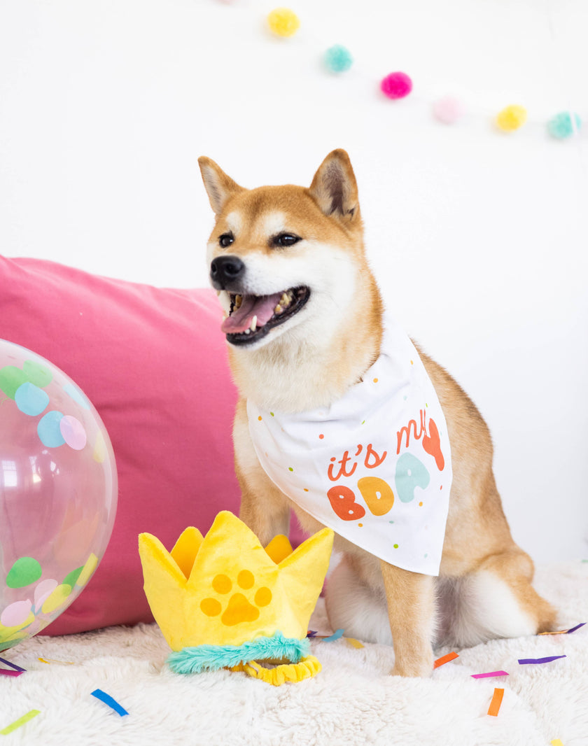 Pearhead Happy Barkday Pet M/L Bandana Hat Set
