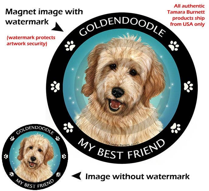 Goldendoodle My Best Friend Circular Magnet