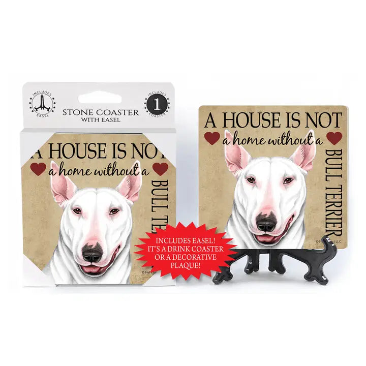 Bull Terrier (White Color) - A House Is Not A Home