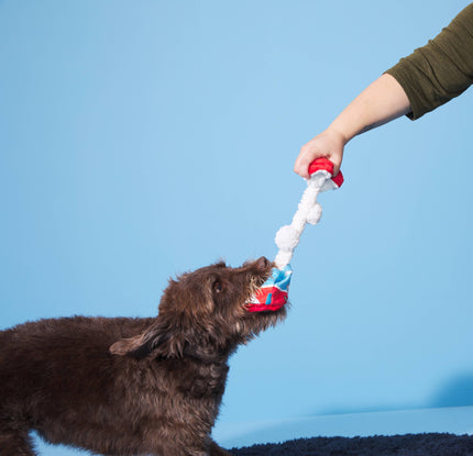 BARK Poopies & Cream Pint Dog Toy