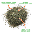 Mice Dreams - Passion Flower, Lavender, and Catnip Blend