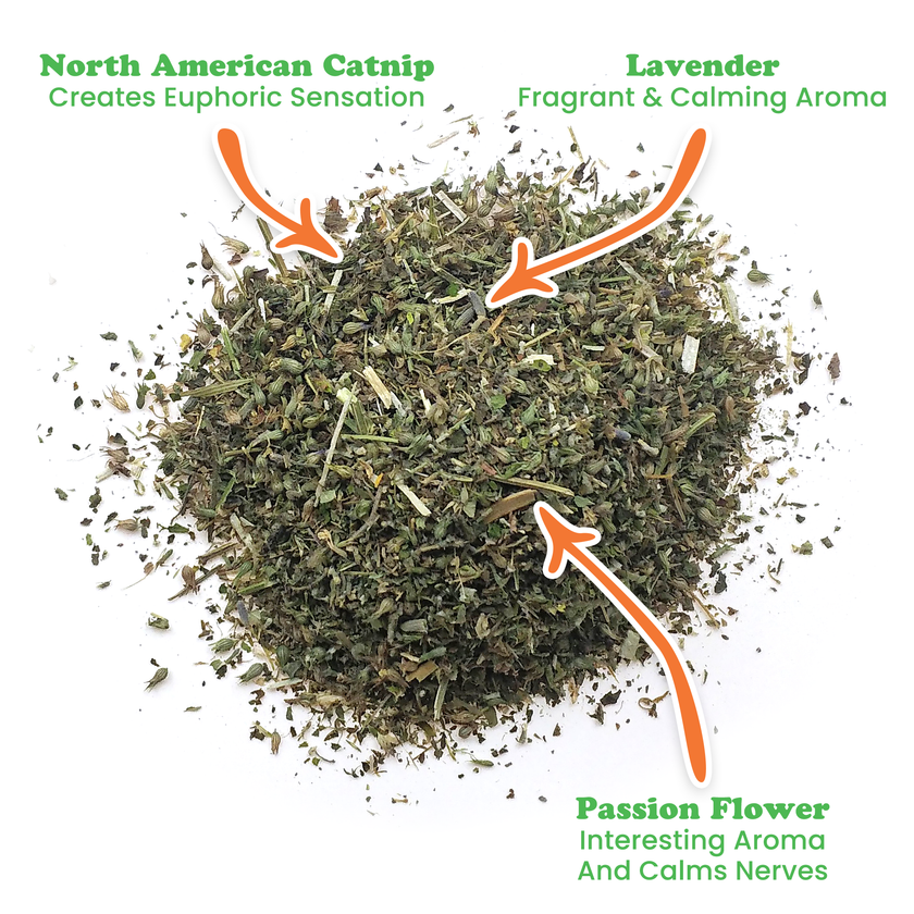 Mice Dreams - Passion Flower, Lavender, and Catnip Blend