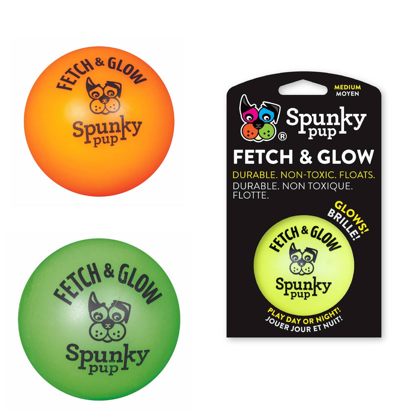 Dog Toy Fetch and Glow Floating Ball