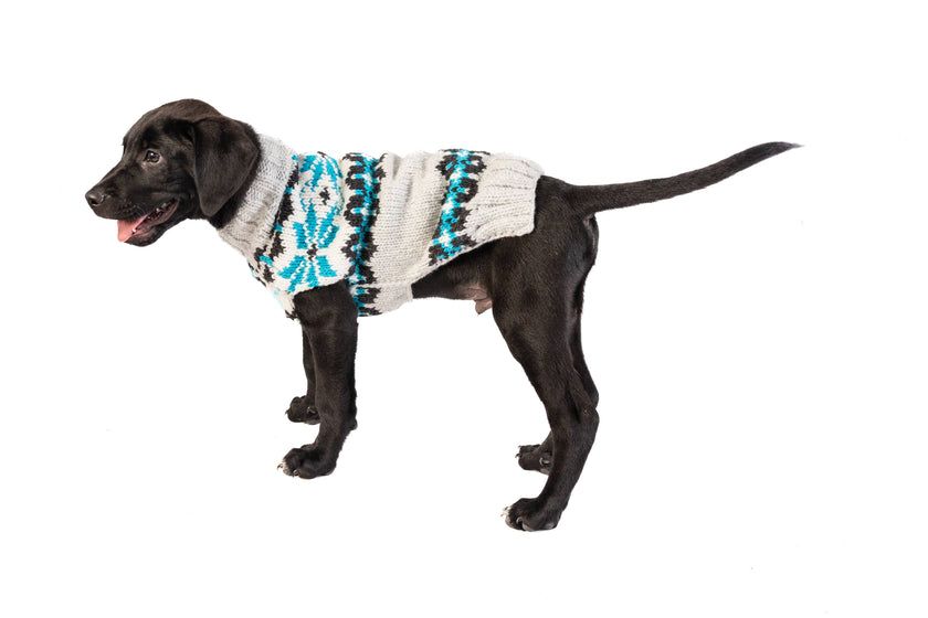 Frost Dog & Cat Pet Sweater