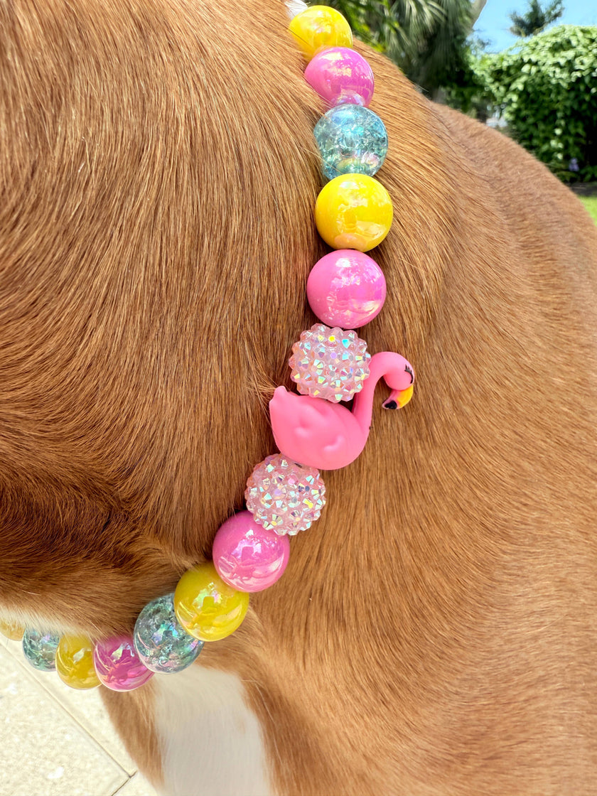 Ocean Drive Diva | Beaded Dog Collar