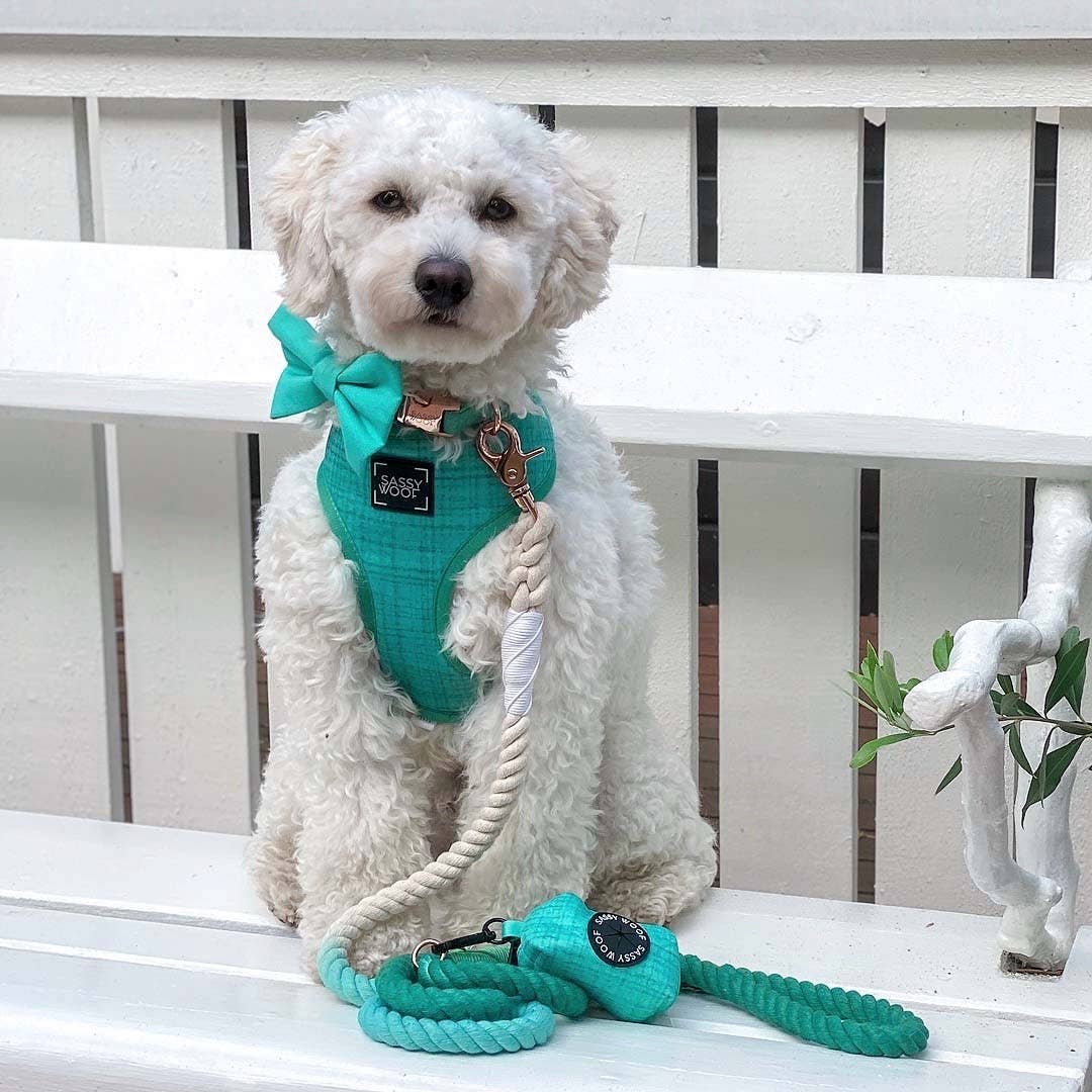 Dog Waste Bag Holder Wag Your Teal With Clasp
