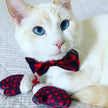 H&K Bow Tie Buffalo Check