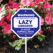 Lazy Labrador Garden Security Sign