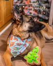 Christmas Tree Sugar Cookie Plush Dog Toy