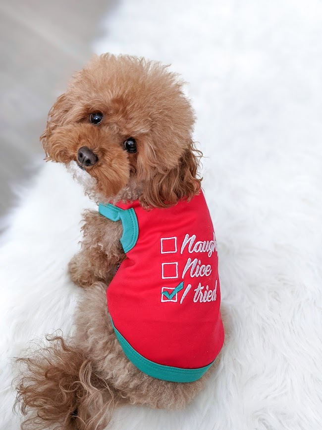 Naughty, Nice, I tried Dog or Cat Pet T-Shirt