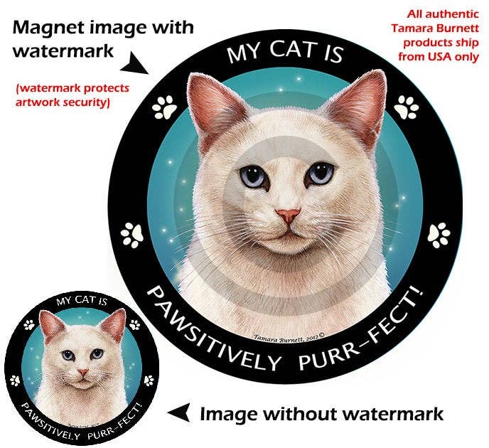 White Cat Blue Eyes My Best Friend Circular Magnet – Salty Paws