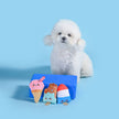 Dog Toy Cool Pup Ice Cream Ice Pop Food Party Plush Toy Set