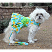 Pineapple Luau Dog Harness Dress w/ Matching Leash