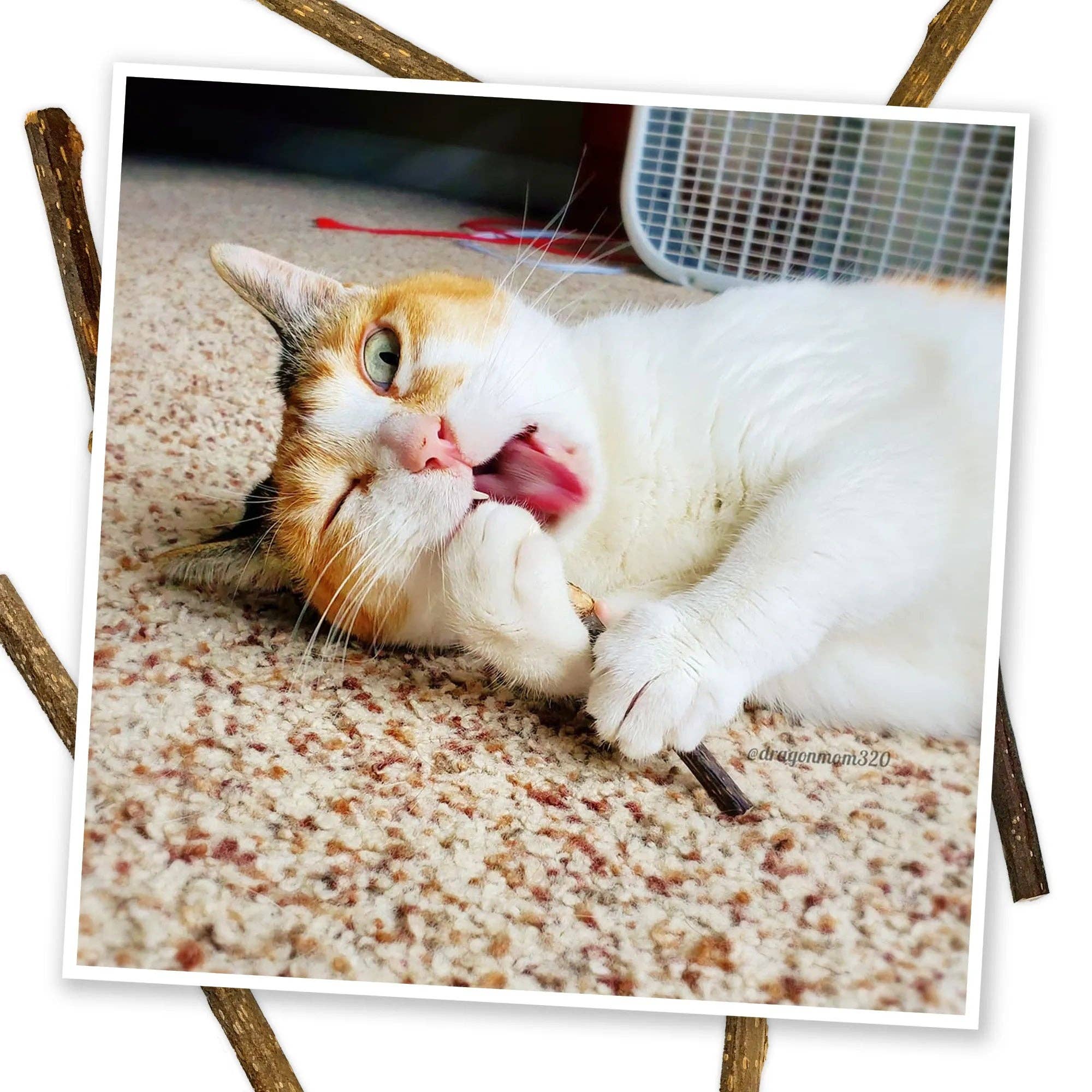 Meowijuana® Silvervine Sticks