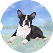 Boston Terrier Car Coaster