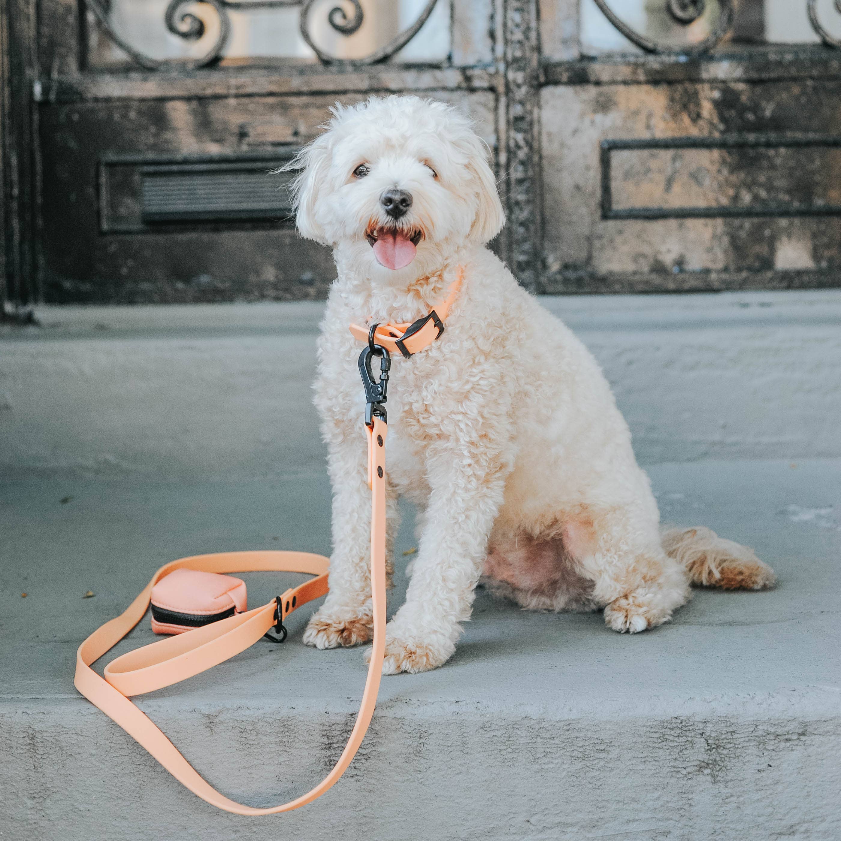 Dog Waste Bag Holder Orange With Clasp