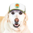 Trucker Hat for Dogs/Cats- Seagull