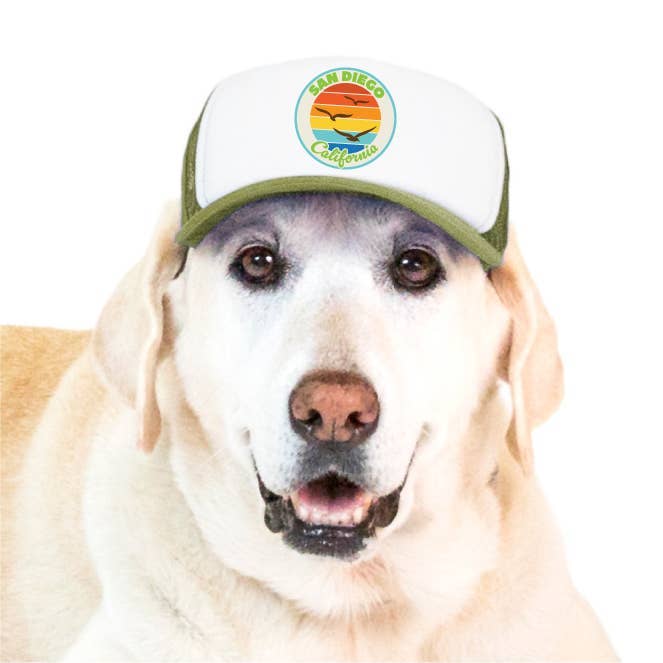 Trucker Hat for Dogs/Cats- Seagull