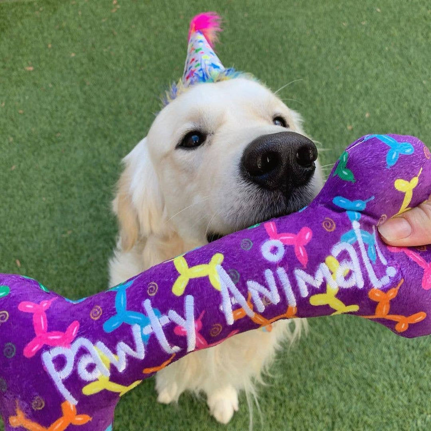H&K Party Hat Superstar with SnugFit®