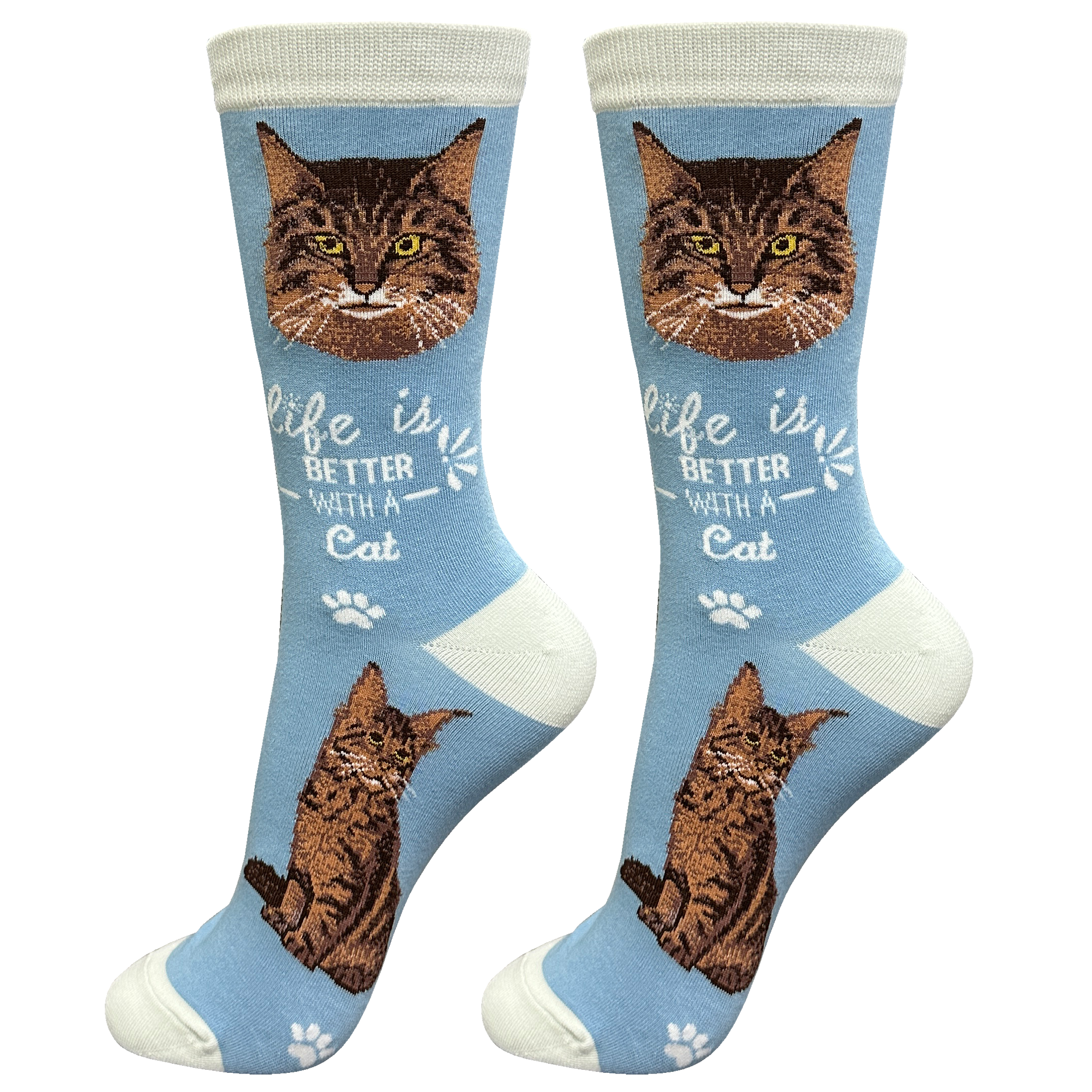 Cat Maine Coon Cat Socks Unisex