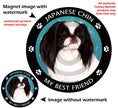 Japanese Chin Black & White My Best Friend Circular Magnet