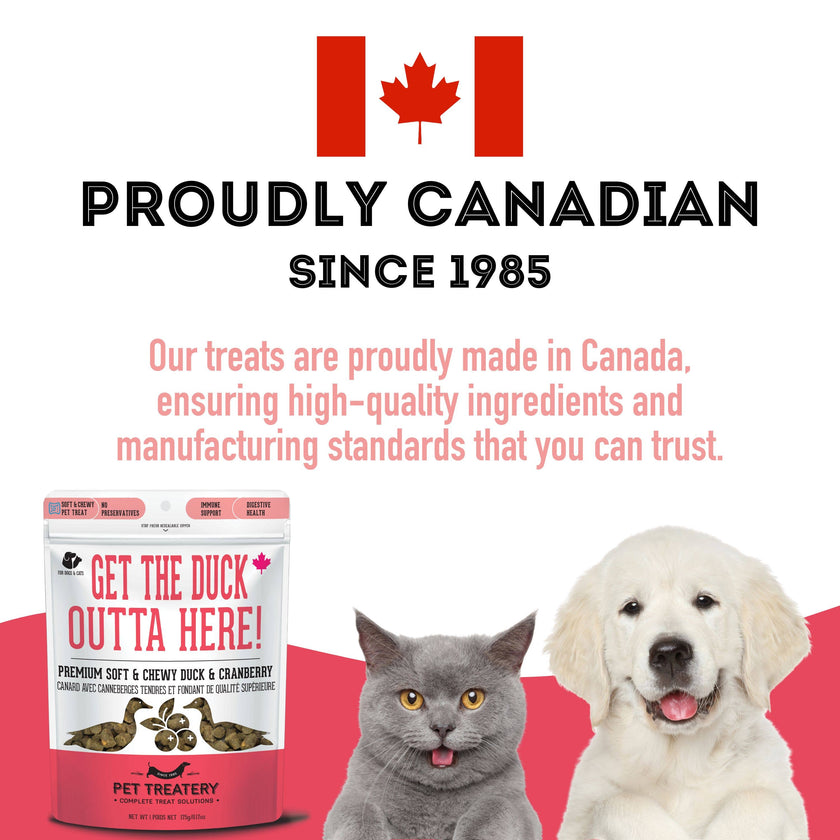 Duck & Cranberry Soft Dog Treats: Chewy & All-Natural