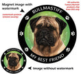 Bullmastif Fawn My Best Friend Circular Magnet