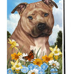 Pit Bull, Brown & White Garden Flag