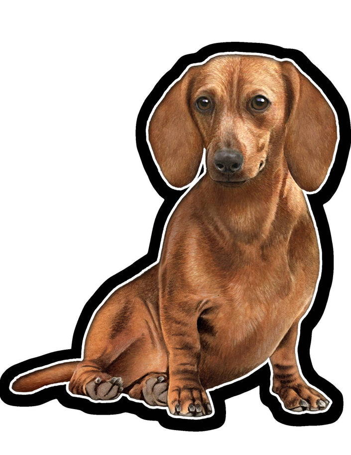 Dachshund, Red  - Vinyl Sticker