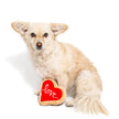 Valentine's Red Heart Love Sugar Cookie