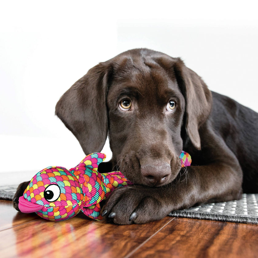 Dog Toy Fish Wubba Finz Dog Tug Toy Pink Small