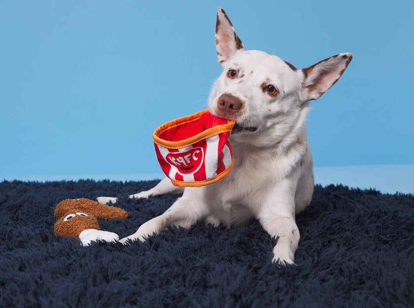 BARK Kenpuppy Fried Chicken Dog Toy