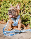 Dog Waste Bag Holder - Mama's Boy